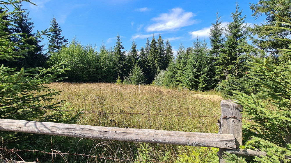 Земельна ділянка у селі Яблуниця 0,33 га Яремче - зображення 2