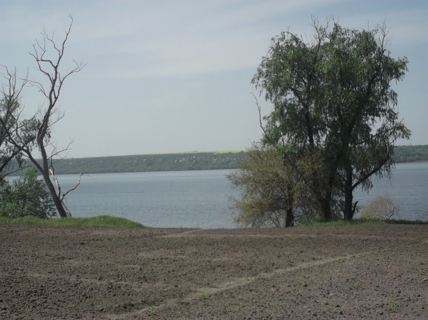 Будинок з власним берегом річки Дніпро. Дніпро - зображення 6