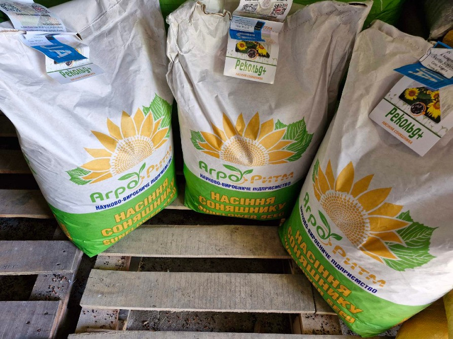 насіння соняшнику Рекольд. під гранстар. Для найтяжчих погодних умов Одеса - зображення 6