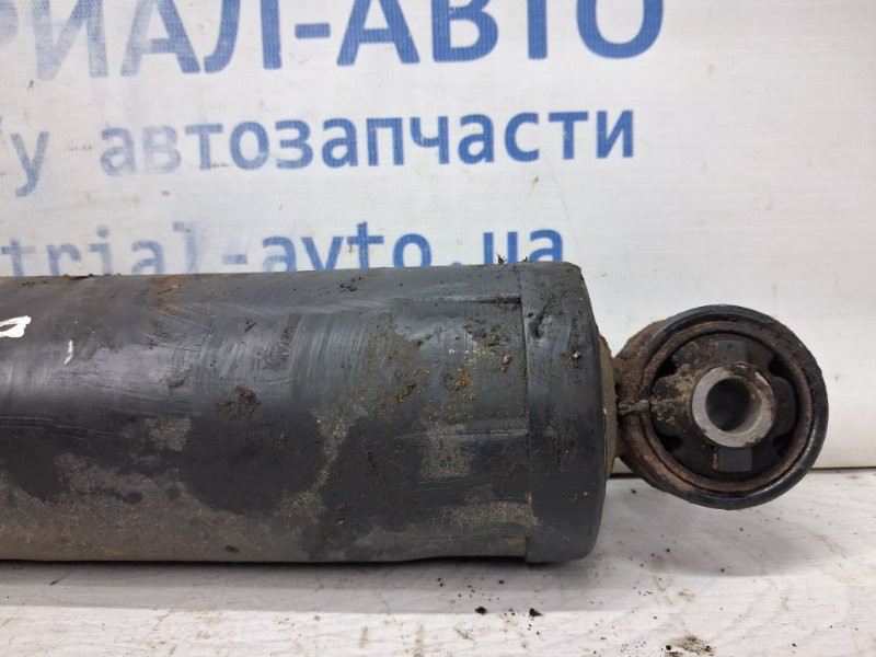 Амортизатор задний Chevrolet Captiva C140 2.2 DIESEL Z22D1 2006 (б/у) Київ - зображення 2