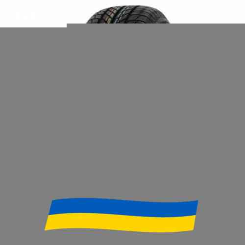 225/65 R17 Paxaro INVERNO SUV 106H Позашляхова шина Київ