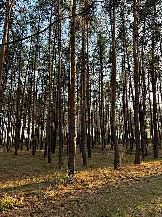 продажа участок под жилую застройку Новомосковский, Песчанка, 10000 $ 