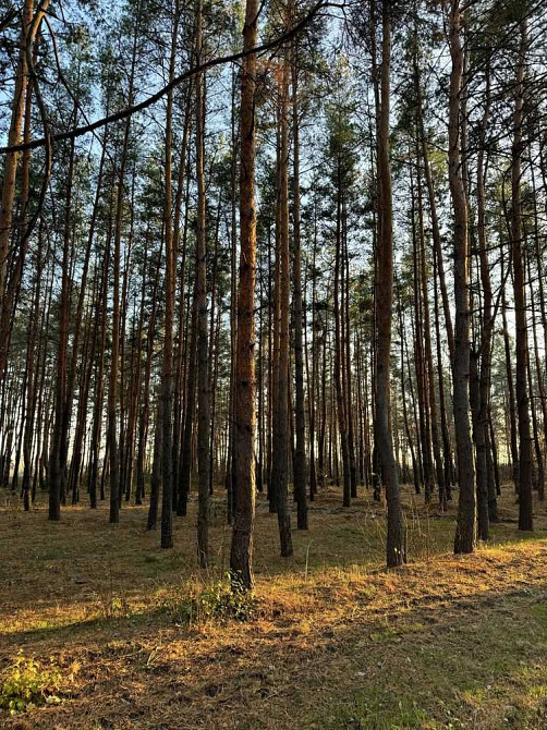 продажа участок под жилую застройку Новомосковский, Песчанка, 10000 $  - изображение 6