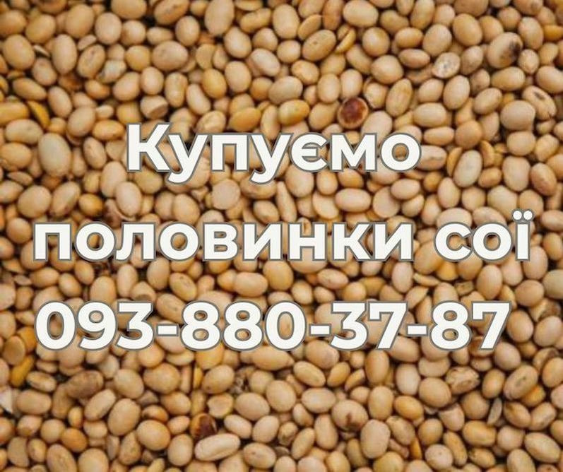 Закуповуємо половинки сої (оплата Ф1, Ф2) Киев - изображение 1