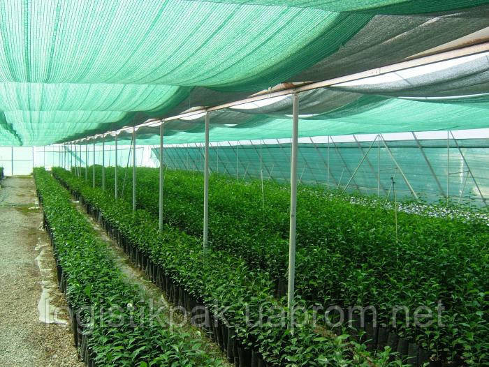 Сетка 45% затеняющая 6х150м Харків - зображення 12