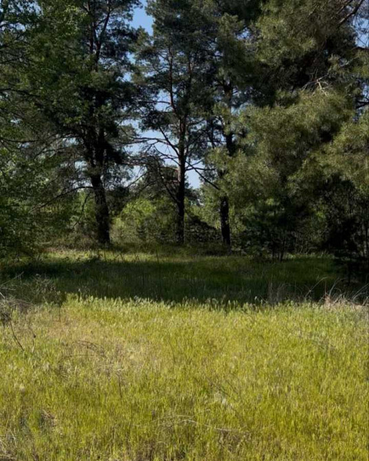 продажа земля рекреационного назначения Вышгородский, Новоселки, 220000 евро  - зображення 7