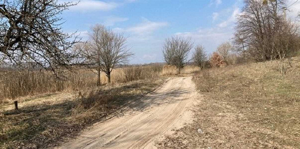 продажа земля сельскохозяйственного назначения Бориспольский, Головуров, 167300 грн.  - изображение 4