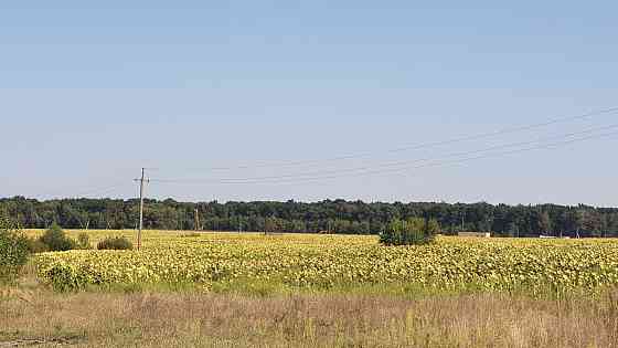 продажа земля сельскохозяйственного назначения Васильковский, Кожуховка, 2071000 грн. 