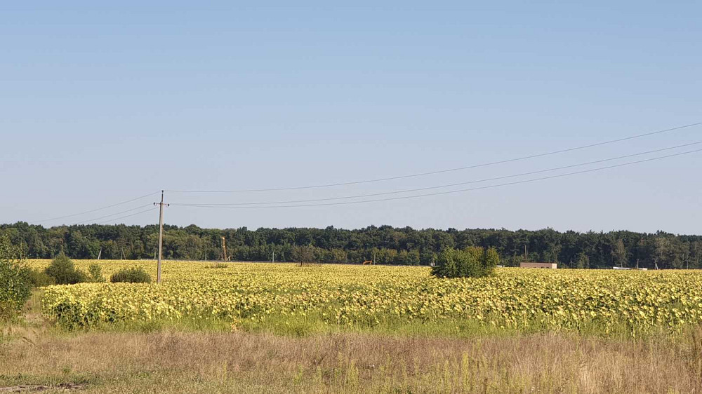 продажа земля сельскохозяйственного назначения Васильковский, Кожуховка, 2071000 грн.  - изображение 3