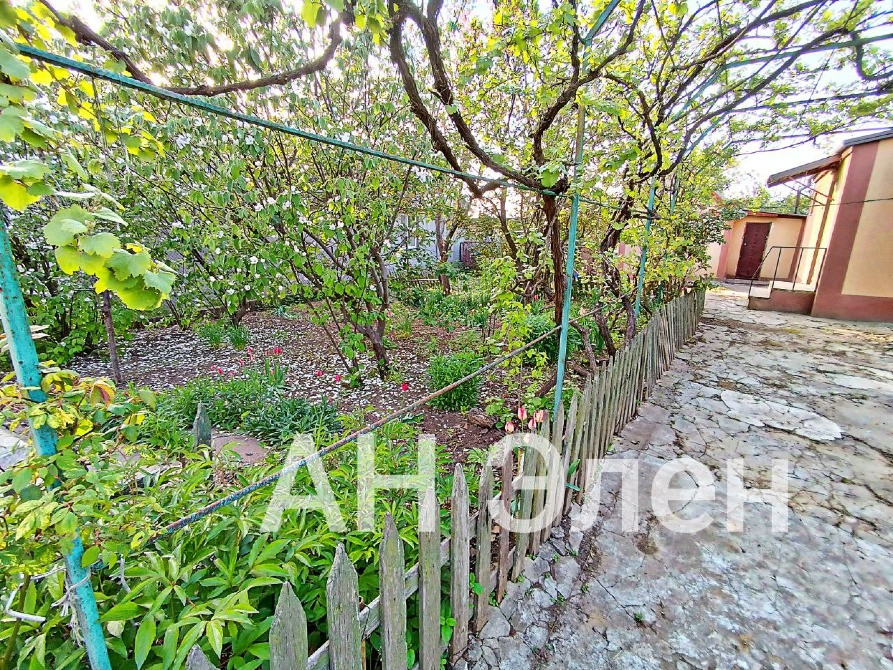 большой участок с домиком в дофиновке Одеса - зображення 5