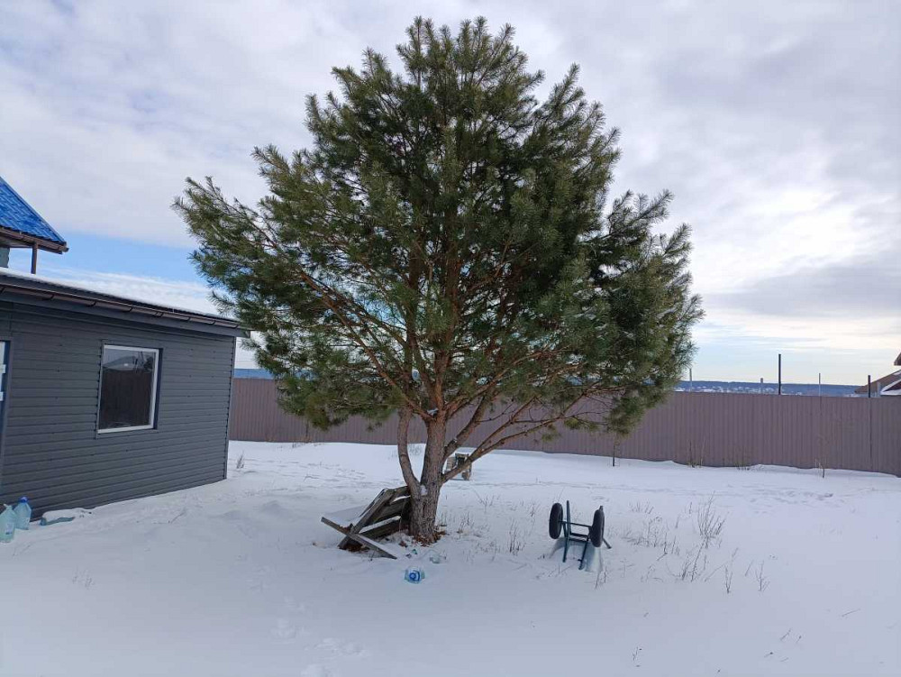 продажа 4-к дом Киево-Святошинский, Михайловка-Рубежовка, 59000 $  - зображення 3