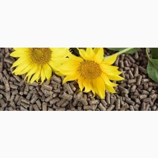 Пелети, брикети з доставкою Полтава - зображення 1