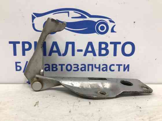 Петля капота правая Nissan Pathfinder 2004-2014 654004M400 (Арт. 55993) Киев