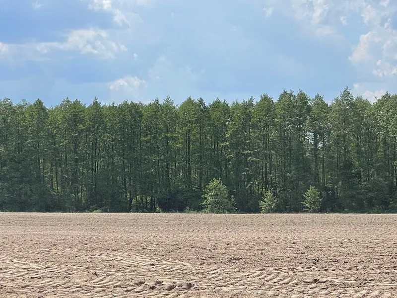 продажа земля сельскохозяйственного назначения Макаровский, Марьяновка, 105000 грн.  - зображення 7