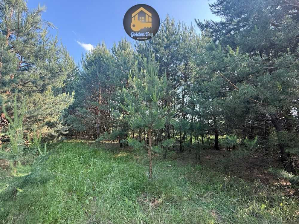 продажа земля сельскохозяйственного назначения Бориспольский, Гнедин, 90000 $  - зображення 1