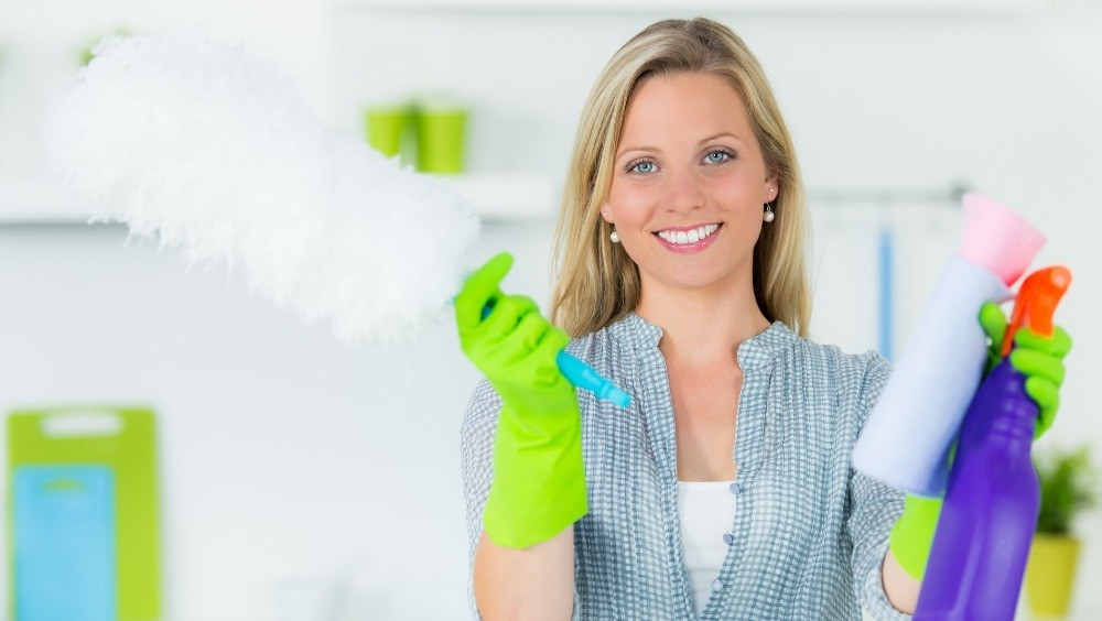 Домробітниця, 14/14 діб Київ - зображення 1