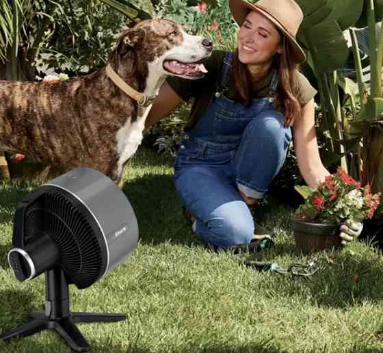 Вентилятор настольный Shark FlexBreeze FA150EU 36 Вт черный Київ