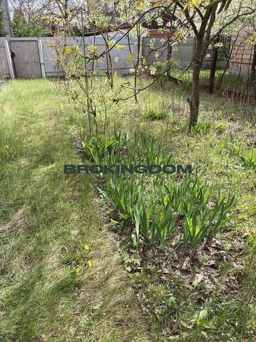 продажа 5-к дом Киев, Дарницкий, 35000 $ Київ - зображення 6