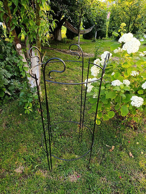 Металева опора для квітів Кований декор для саду Ручна робота Ивано-Франковск - изображение 1