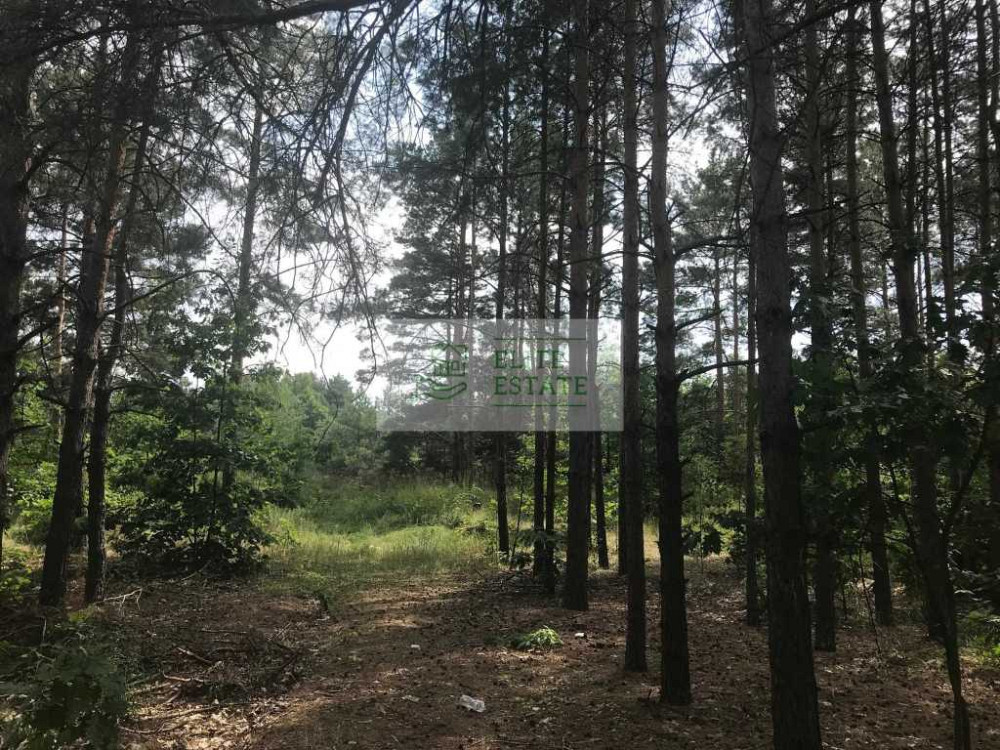 продажа земля сельскохозяйственного назначения Вышгородский, Лебедевка, 220000 $  - зображення 7