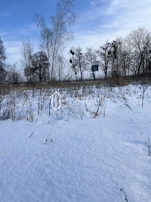 продажа земля сельскохозяйственного назначения Бориспольский, Гнедин, 60000 $  - зображення 7