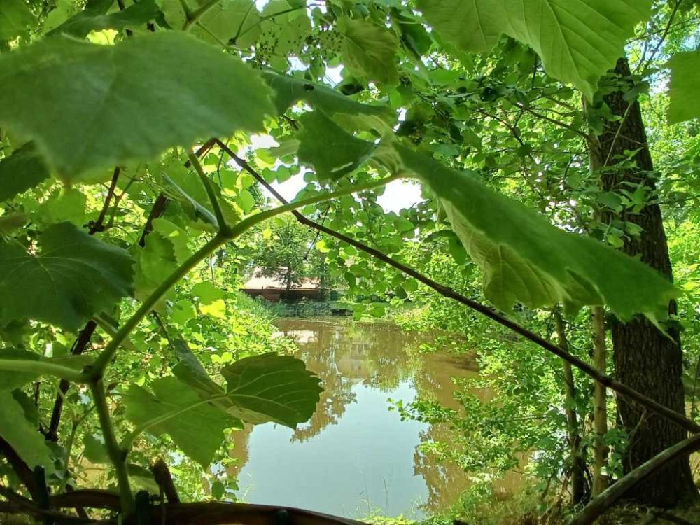 продажа участок под жилую застройку Киево-Святошинский, Ирпень, 94000 $ Ирпень - изображение 3