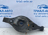 Рычаг задней подвески нижний поперечный (под пружину) Infiniti FX 2002-2008 551B0CG000 (Арт. 72936) Київ
