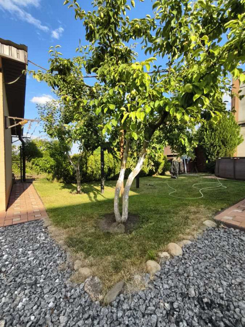 продажа 3-к дом Лиманский, Вапнярка, 80000 $  - зображення 9