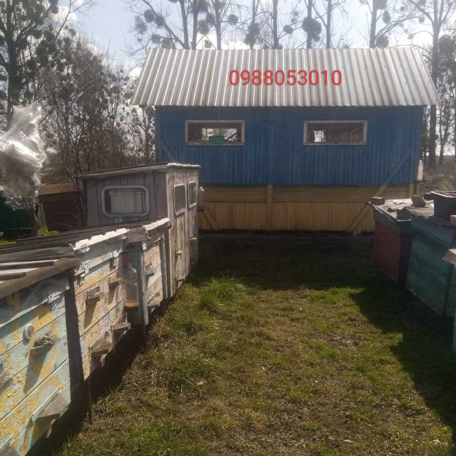 продажа 4-к дом Радеховский, Ястребичи, 49990 евро  - зображення 12
