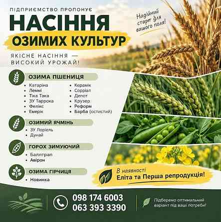 Продаж насіння озимих: пшениця, ячмінь, горох, гірчиця Миколаїв