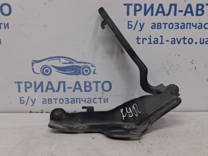 Петля капота левая SsangYong Kyron DJ 2.7 D27DT 2005 (б/у) Киев - изображение 1