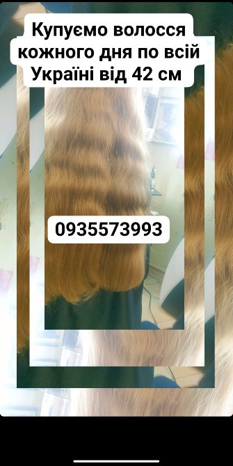 Продать волосы, продати волосся дорого по всій Україні від 42 см -0935573993 Киев - изображение 1