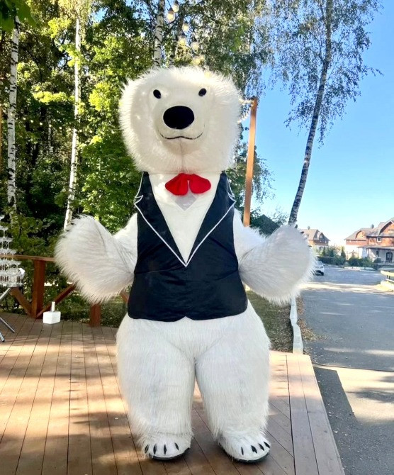 Медведь аниматор Николаев Панда на день рождения заказ и цена Николаев - изображение 3