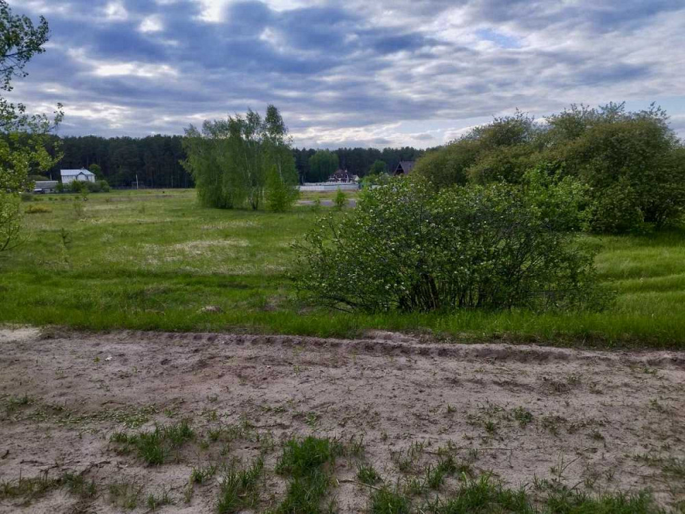 продажа земля сельскохозяйственного назначения Вышгородский, Жукин, 15400 $  - изображение 3