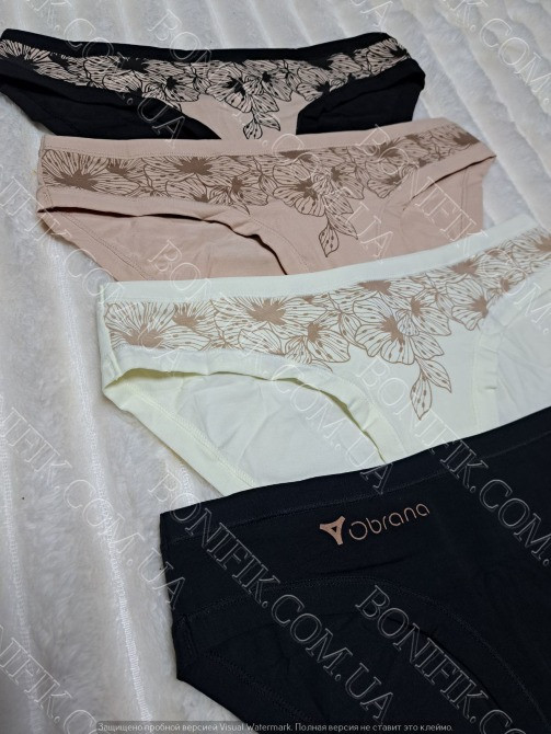 Женские трусы-слип с рисунком ТМ "Obrana" (арт. 200-30/2) Кривий Ріг - зображення 5
