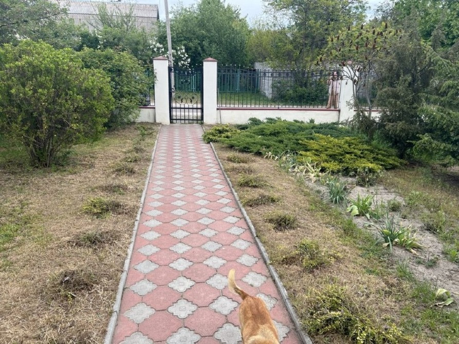 Село Забуччя, Києво-Святошинський р-н, продам будинок, ділянка 0.25 га Буча - изображение 6