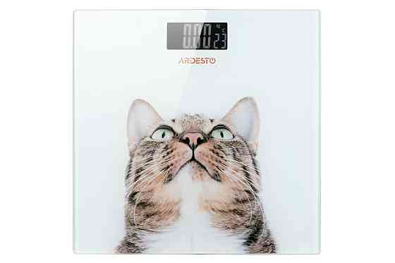 Ваги електронні підлогові Ardesto Cat SCB-965-cat 150 кг Київ