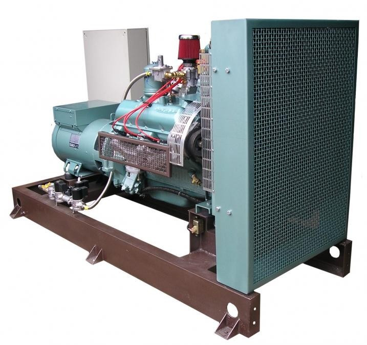 Електростанції дизельні з мінімальним напрацюванням 30 - 350 кВт Полтава - зображення 1