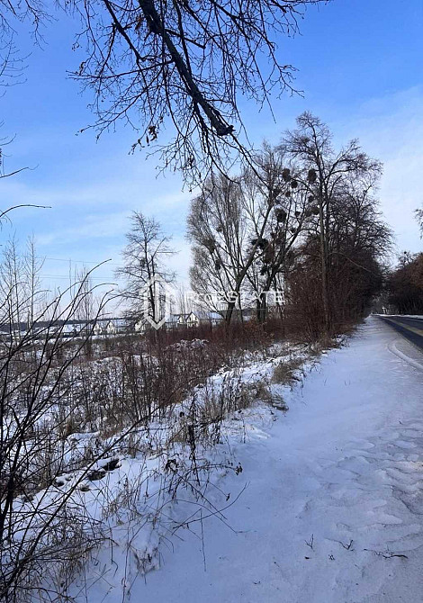 продажа земля сельскохозяйственного назначения Бориспольский, Гнедин, 60000 $  - зображення 9