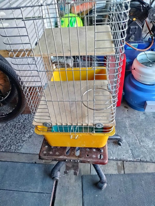 Продам велику клітку для тваринок Київ - зображення 2