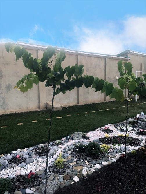 Купить дом в пригороде Одессы, село Холодная Балка, современный дом, 12км Одесса трассы Одесса-Киев Одесса - изображение 2