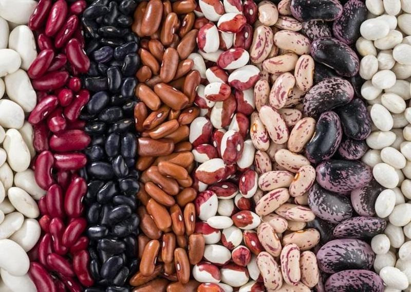 Купуємо різні сорти квасолі для консервування Ровно - изображение 1