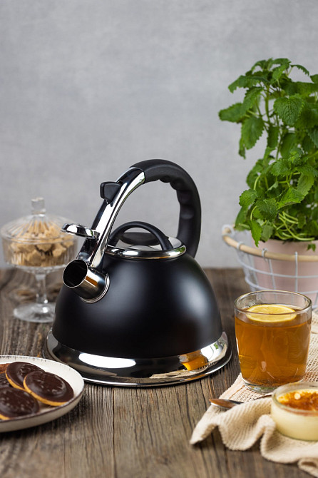 Чайник зі свистком Edenberg EB-8851 3 л Київ - зображення 1