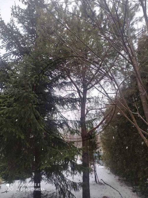 Аренда отличного 3-х этажного дома в с. Великие Дмитровичи. № 139270 Київ - зображення 9