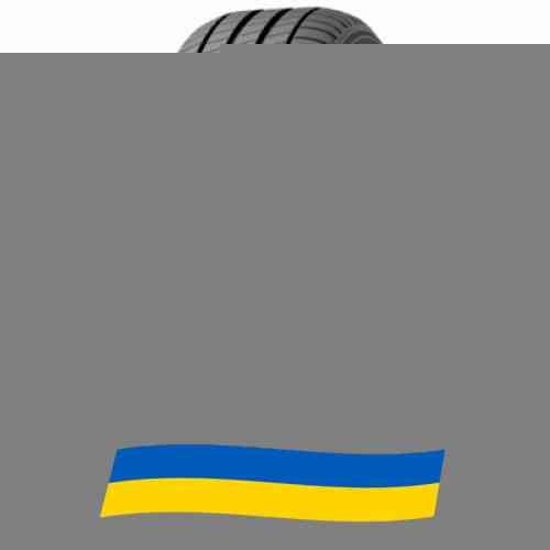 205/55 R17 Michelin Primacy 3 95V Легкова шина Киев