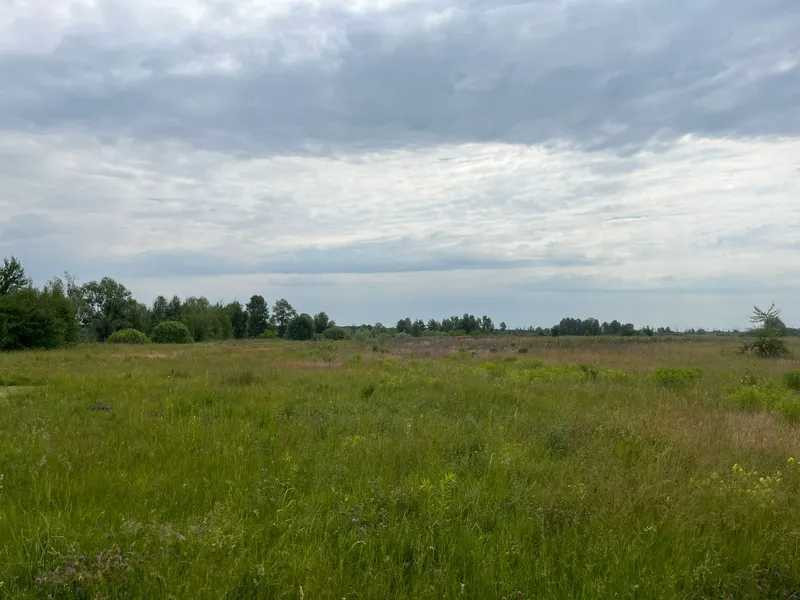 продажа земля сельскохозяйственного назначения Бориспольский, Головуров, 44800 грн.  - изображение 5