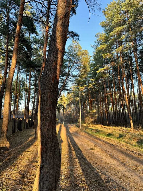 продажа участок под жилую застройку Новомосковский, Песчанка, 10000 $  - изображение 8