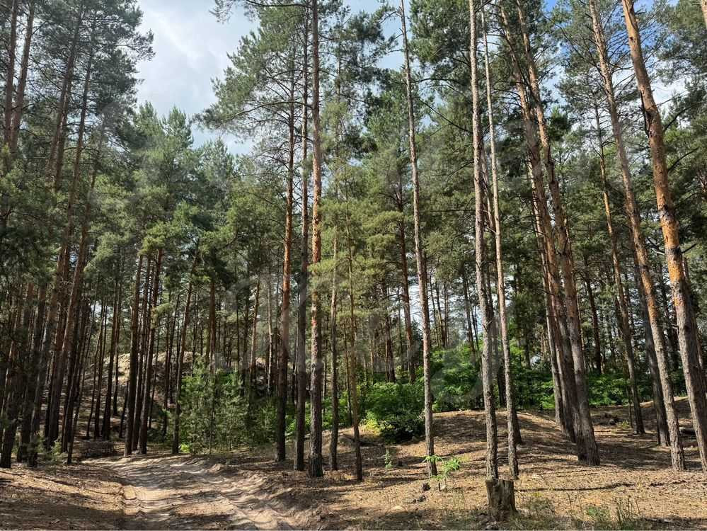 продажа участок под жилую застройку Бориспольский, Процев, 88000 $  - зображення 4