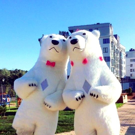 Белый медведь Львов,Дрогобич, Броди, Стрий, Самбір, Яворів, Золочів,Жовква,Городок, Турка заказ. Львів - зображення 4