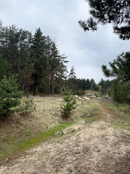 Продаж будинку 94м2 біля лісу Полтава - изображение 11